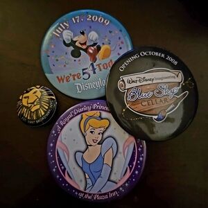 Set of Disneyland Parks Pins